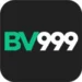 BV999 Game